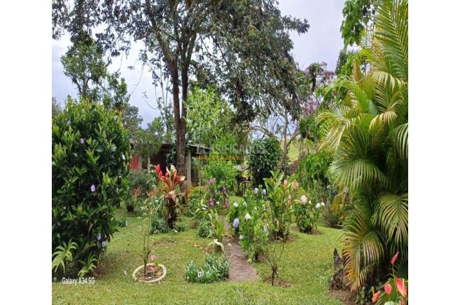 Casas, Venta, La Cumbre - $382.000.000