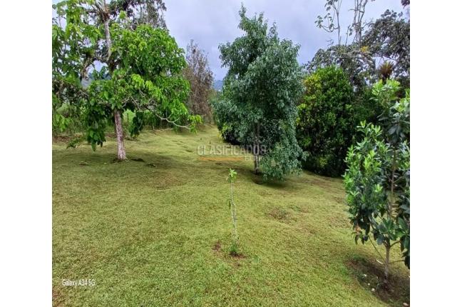 Casas, Venta, La Cumbre - $382.000.000