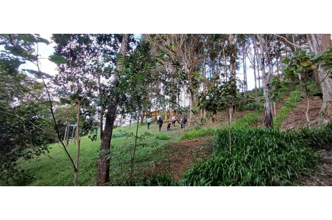 Edificios, Venta, Dapa - $2.299.000.000