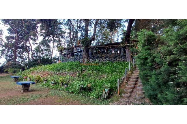 Edificios, Venta, Dapa - $2.299.000.000