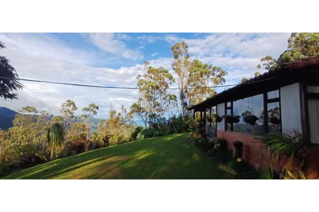 Edificios, Venta, Dapa - $2.299.000.000