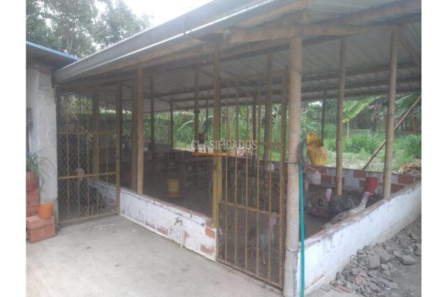 Fincas y Casas Campestres, Venta en Candelaria