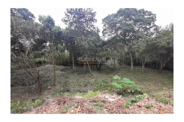 Lotes, Venta, Pance - $2.137.000.000