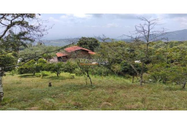 Fincas y Casas Campestres, Venta en Villacarmelo