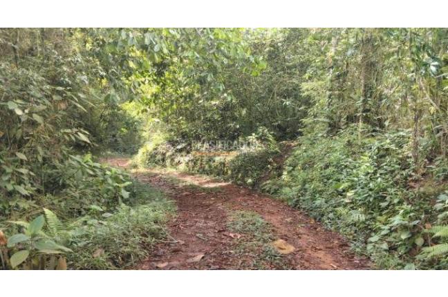 Fincas y Casas Campestres, Venta, Villacarmelo - $980.000.000