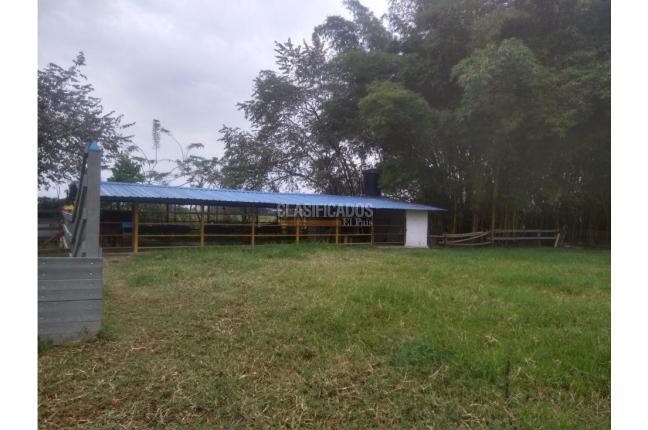 Fincas y Casas Campestres, Venta, Candelaria - $4.000.000.000