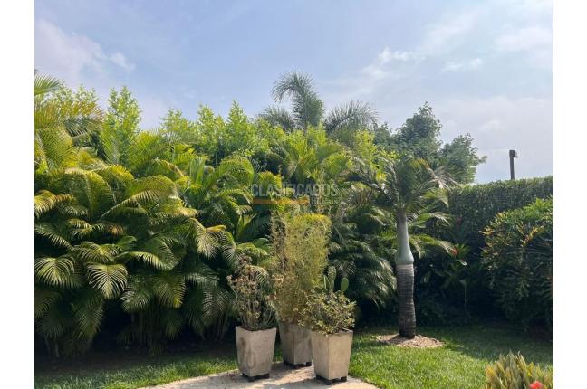 Fincas y Casas Campestres, Venta, Jamundí - $1.650.000.000