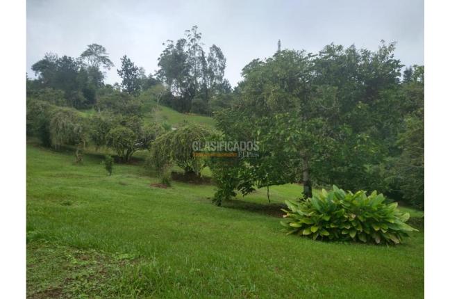 Fincas y Casas Campestres, Alquiler en Dagua