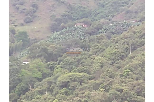 Fincas y Casas Campestres, Venta en Guacarí