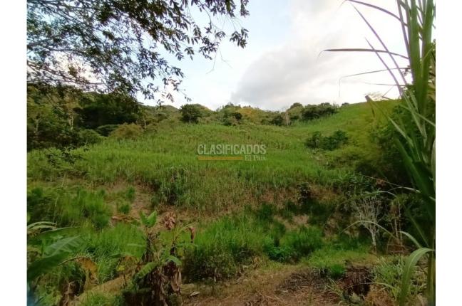 Fincas y Casas Campestres, Venta, Guacarí - $450.000.000