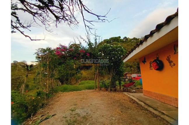 Fincas y Casas Campestres, Venta, Guacarí - $450.000.000