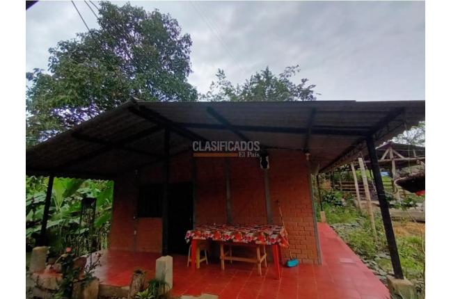 Fincas y Casas Campestres, Venta, Guacarí - $450.000.000