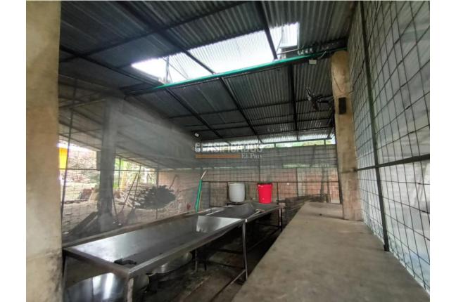 Fincas y Casas Campestres, Venta, Guacarí - $450.000.000