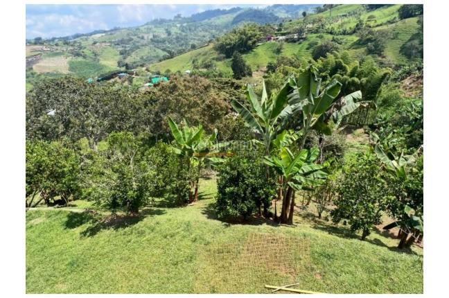 Fincas y Casas Campestres, Venta, Dagua - $480.000.000