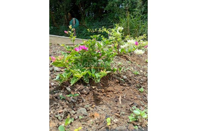 Casas, Venta, Yumbo - $1.900.000.000