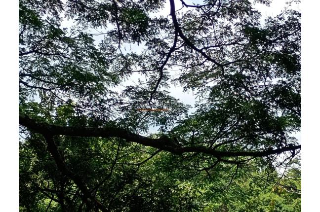 Casas, Venta, Yumbo - $1.900.000.000