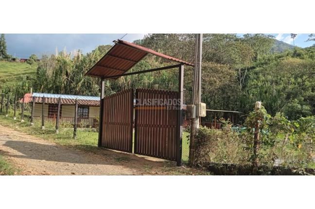 Fincas y Casas Campestres, Venta en Tuluá