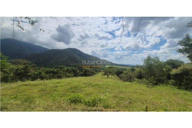 Lotes, Venta en Palmira