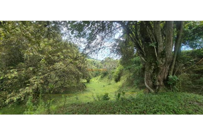 Lotes, Venta, Palmira - $125.000.000