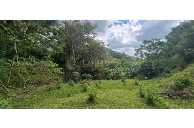 Lotes, Venta, Palmira - $125.000.000