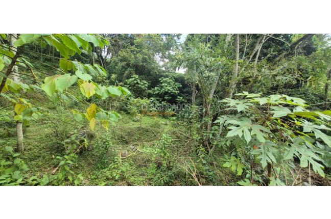 Lotes, Venta, Palmira - $125.000.000