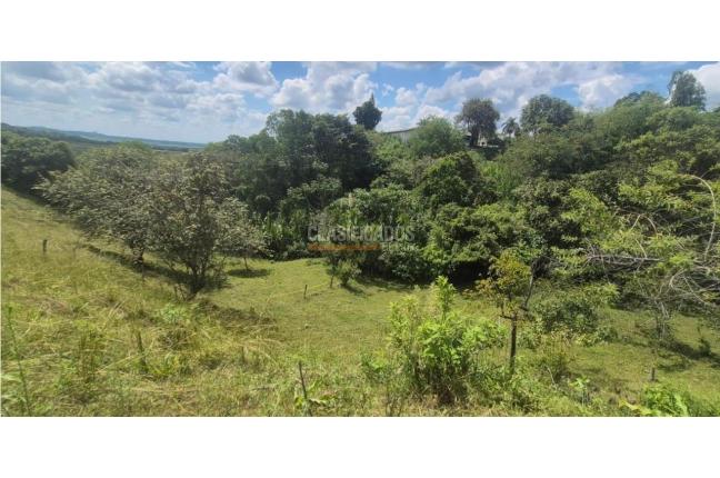 Lotes, Venta, Palmira - $125.000.000