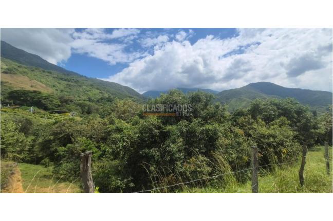 Lotes, Venta, Palmira - $125.000.000