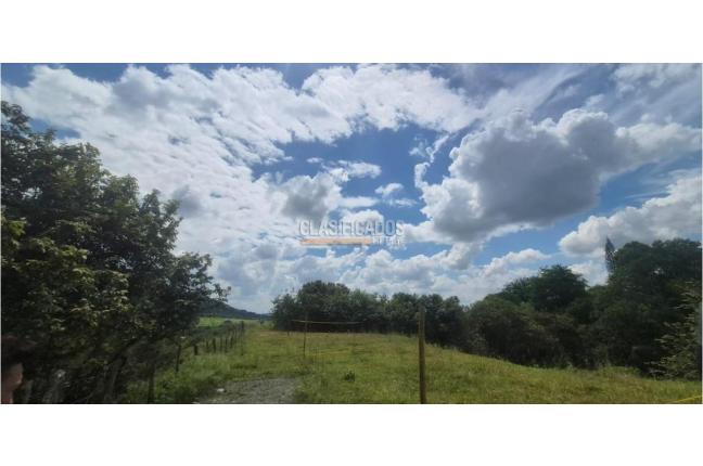 Lotes, Venta, Palmira - $125.000.000