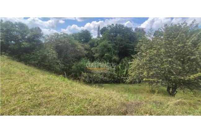 Lotes, Venta, Palmira - $125.000.000