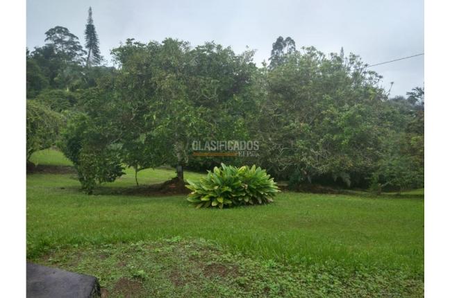 Fincas y Casas Campestres, Alquiler, Dagua - $3.800.000