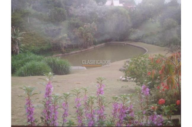 Fincas y Casas Campestres, Alquiler, Dagua - $3.800.000