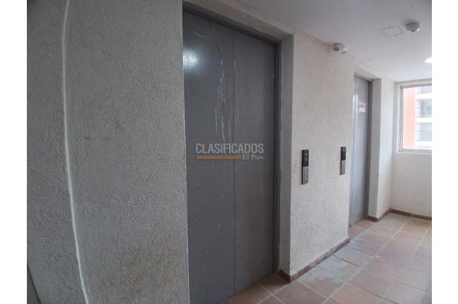 Apartamentos, Alquiler en Bellavista