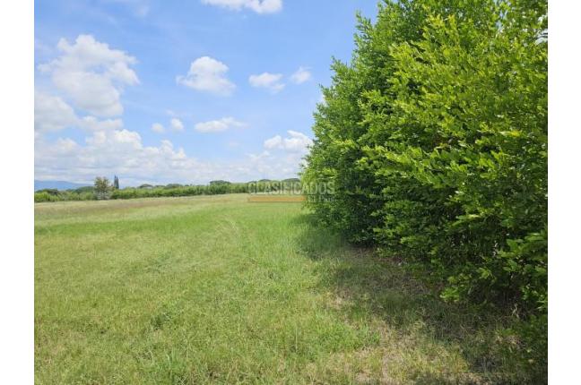 Lotes, Venta en Palmira