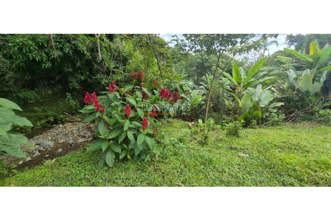 Lotes, Venta en Palmira