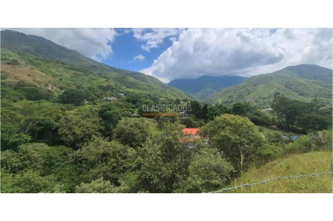 Lotes, Venta en Palmira