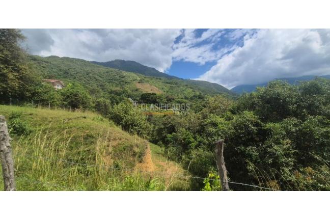 Lotes, Venta, Palmira - $125.000.000