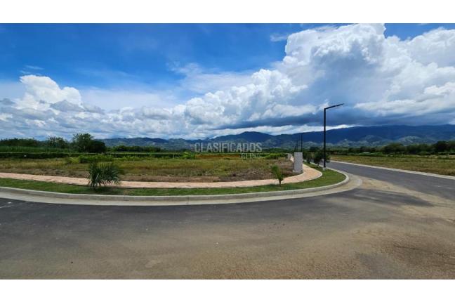 Lotes, Venta en Viterbo