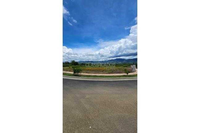 Lotes, Venta en Viterbo