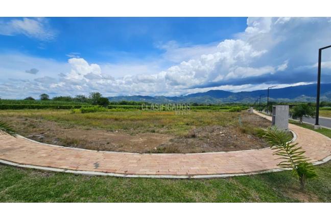 Lotes, Venta en Viterbo