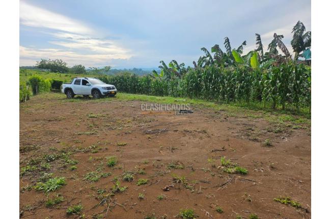 Lotes, Venta en Pereira