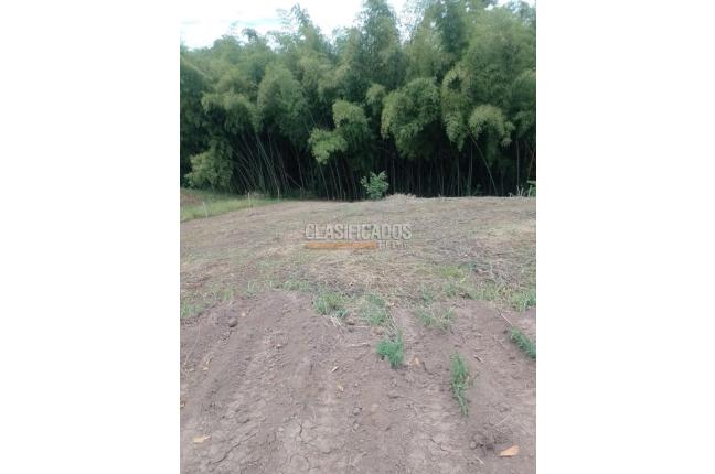 Lotes, Venta en Pereira