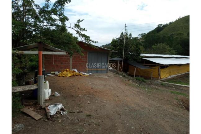 Fincas y Casas Campestres, Venta, Guacarí - $1.200.000.000