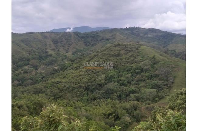 Fincas y Casas Campestres, Venta, Guacarí - $1.200.000.000