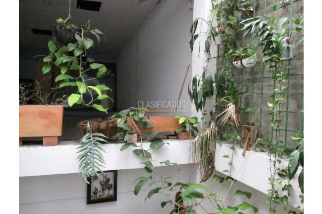 Locales y Bodegas, Alquiler, Santa Mónica Norte - $1.700.000