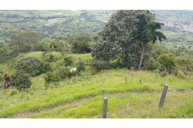 Fincas y Casas Campestres, Venta en Tuluá