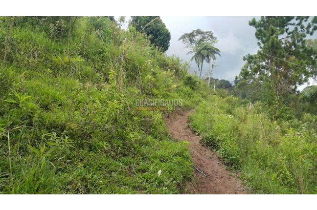 Fincas y Casas Campestres, Venta en Tuluá