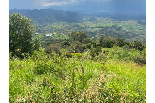 Fincas y Casas Campestres, Venta, Tuluá - $220.000.000