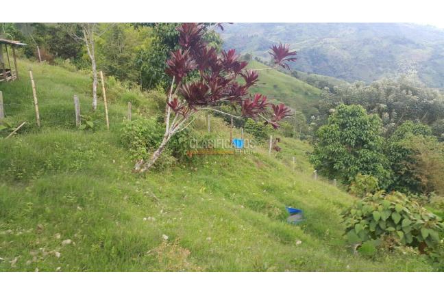 Fincas y Casas Campestres, Venta, Tuluá - $220.000.000