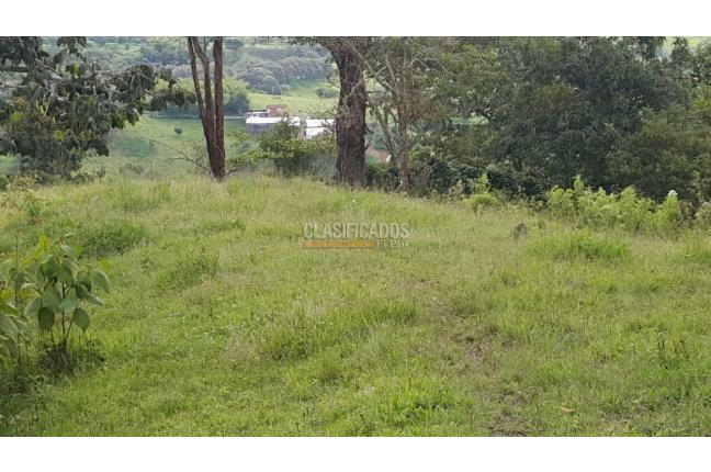 Fincas y Casas Campestres, Venta, Tuluá - $220.000.000