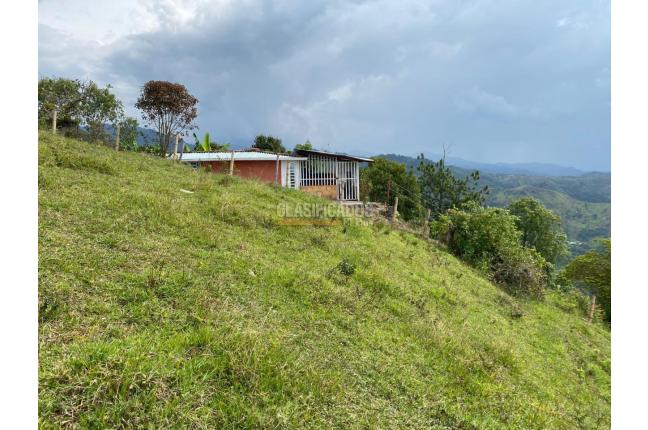 Fincas y Casas Campestres, Venta, Tuluá - $220.000.000